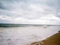 photos 2000-200901404